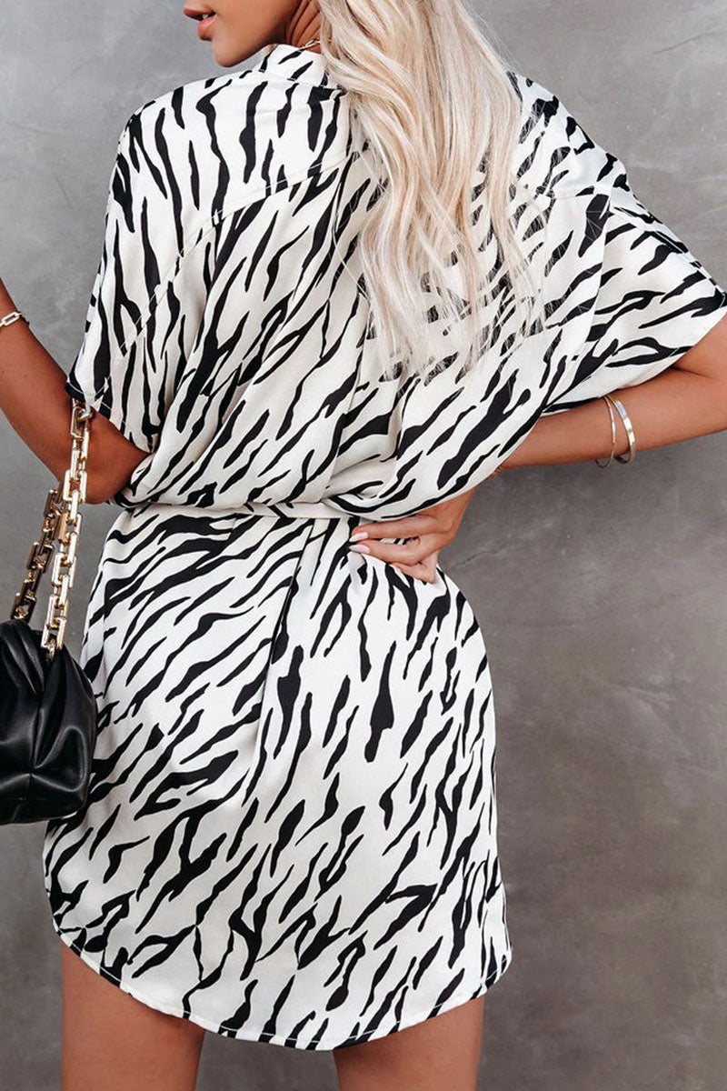 Belted Animal Print Relaxed Fit Shirt Dress