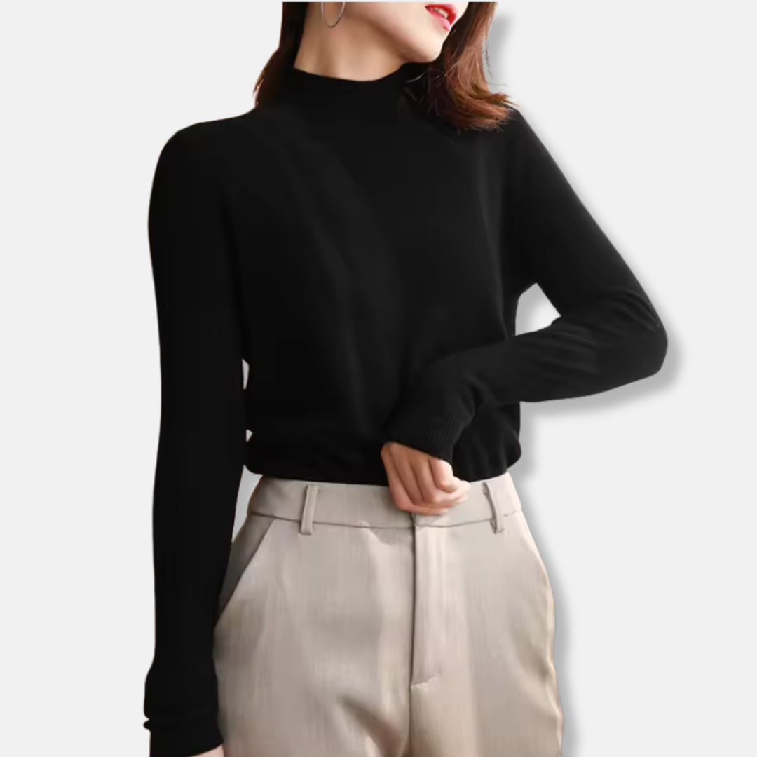 Fine Knit Slim Fit Pullover Sweater