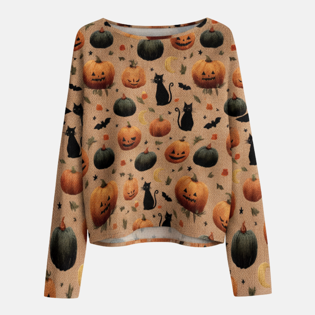 Knit Wide Sleeve Boat Neck Sweatshirt