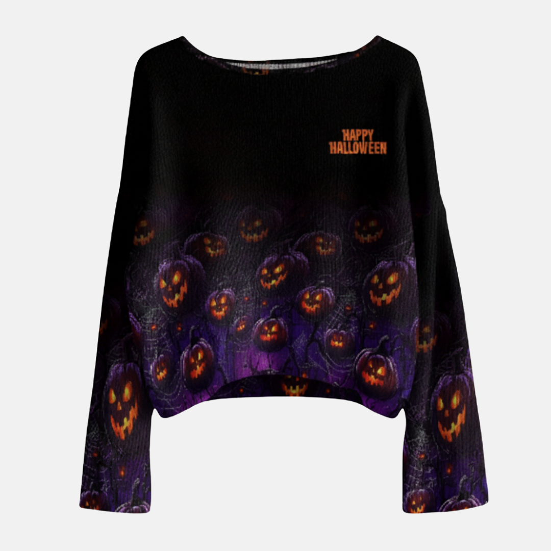 Knit Wide Sleeve Boat Neck Sweatshirt