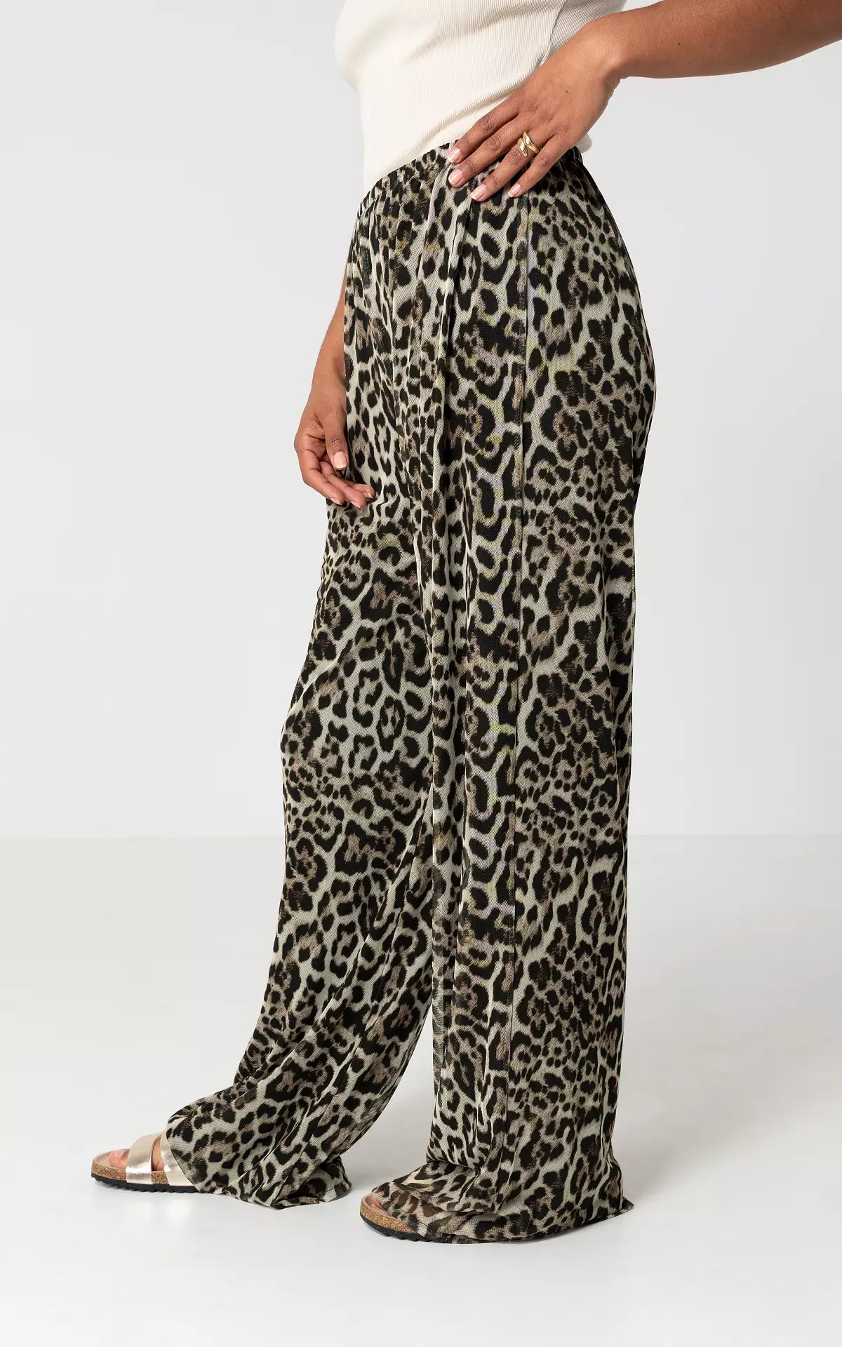 Leopard print pants for women