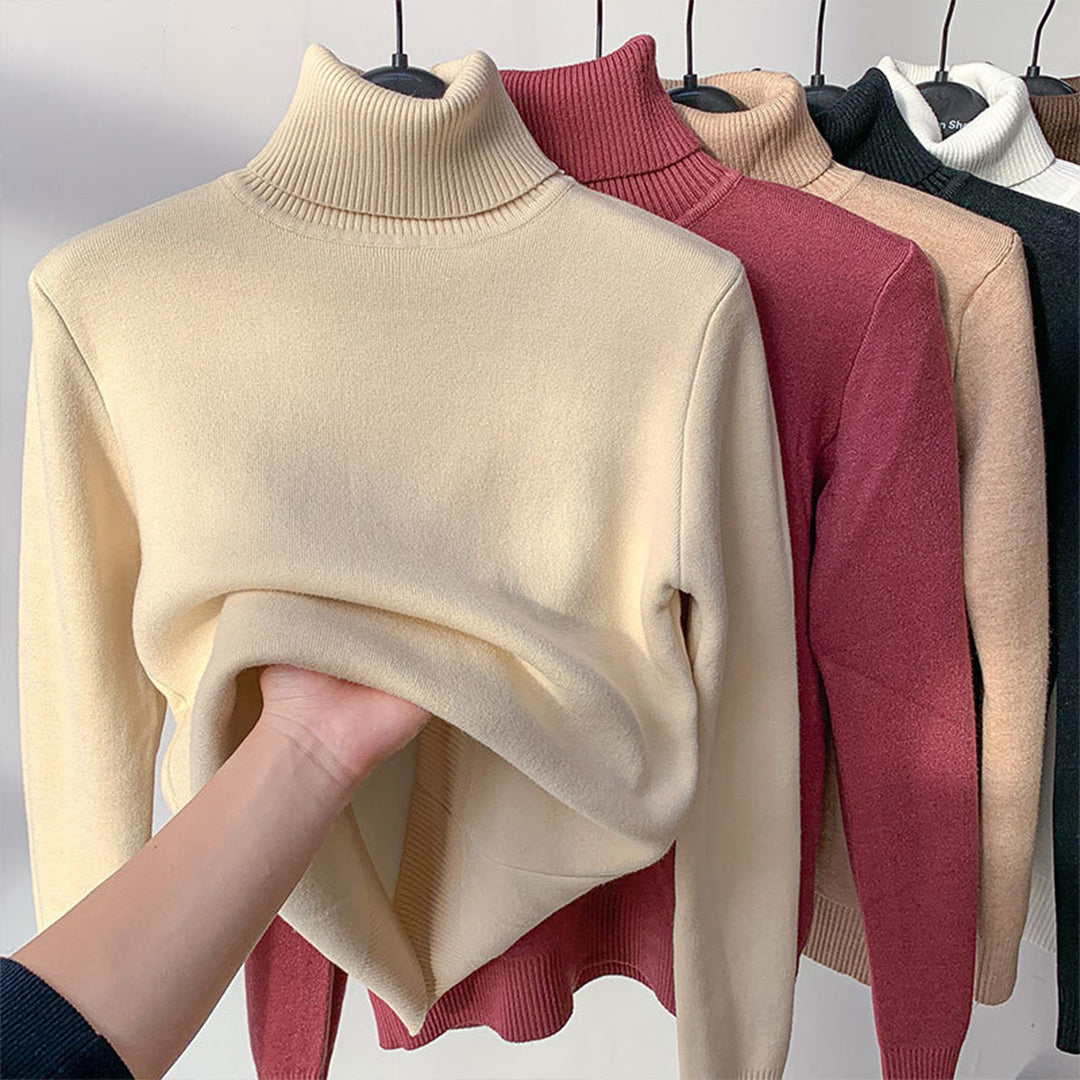 Turtleneck Knit Autumn Winter Sweater