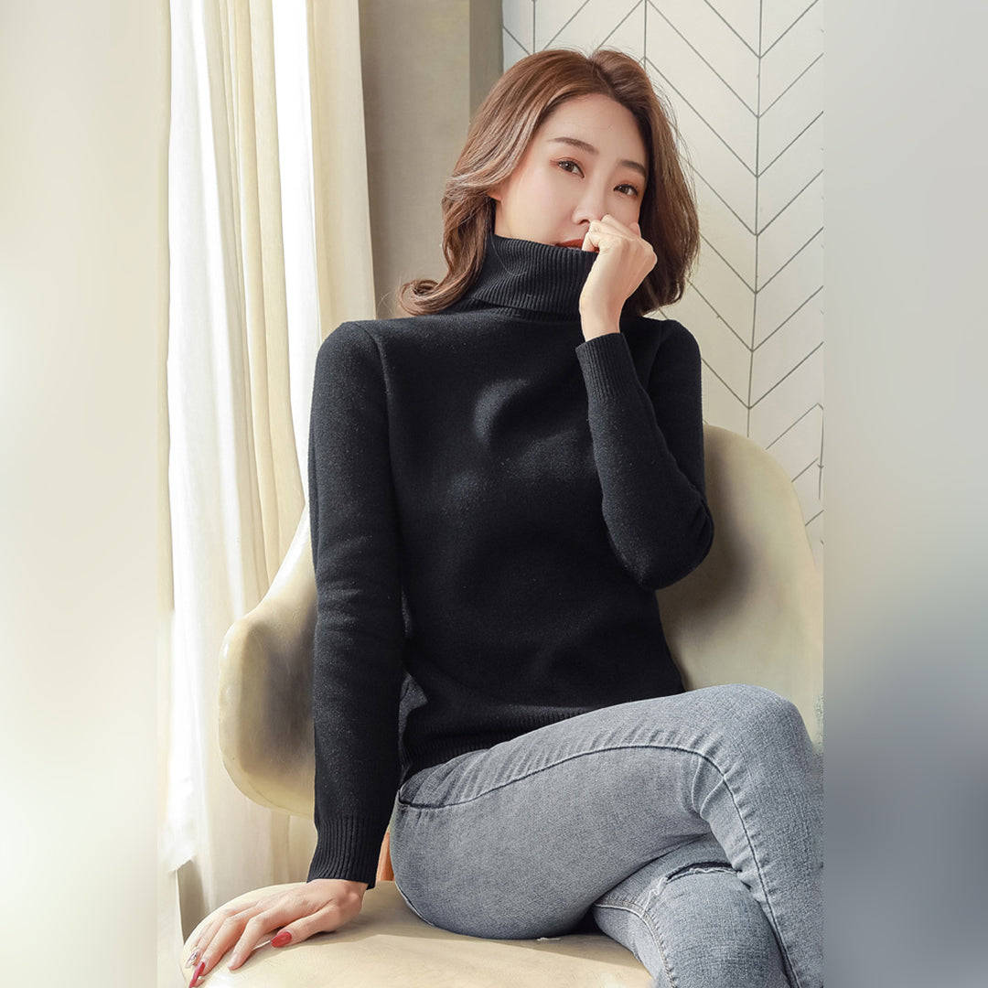 Turtleneck Knit Autumn Winter Sweater