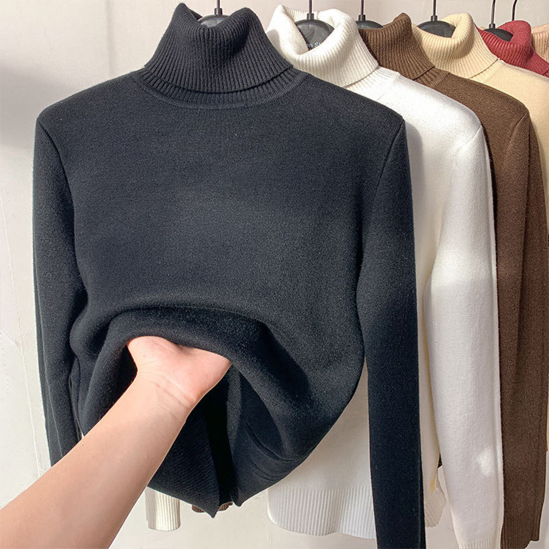 Turtleneck Knit Autumn Winter Sweater