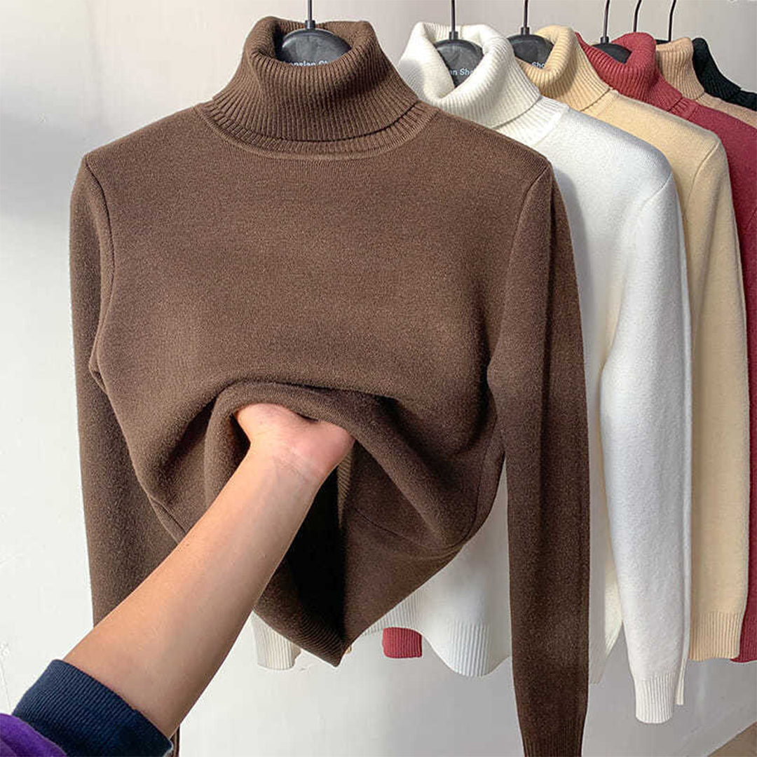 Turtleneck Knit Autumn Winter Sweater