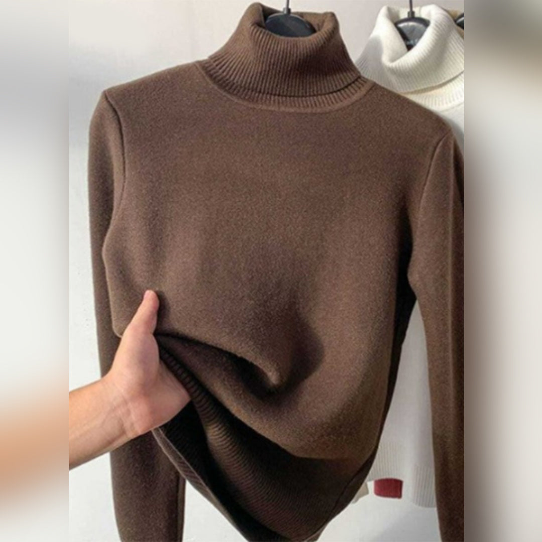 Turtleneck Knit Autumn Winter Sweater