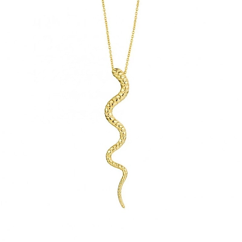 Sleek Snake Chain Necklace