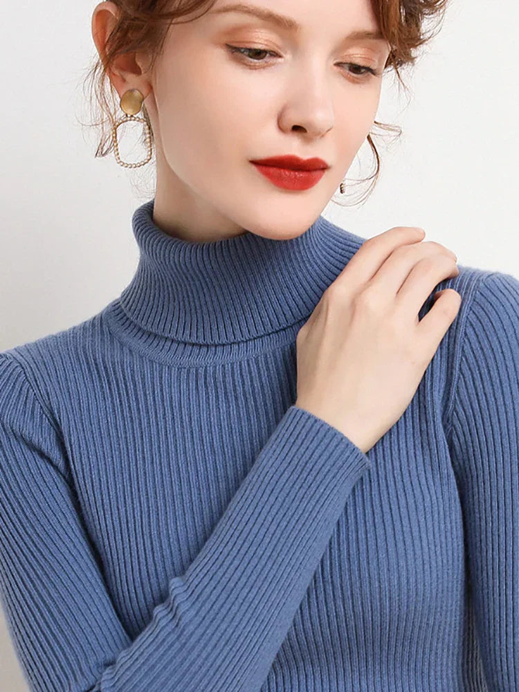 Slim Fit Knitted Turtleneck Sweater