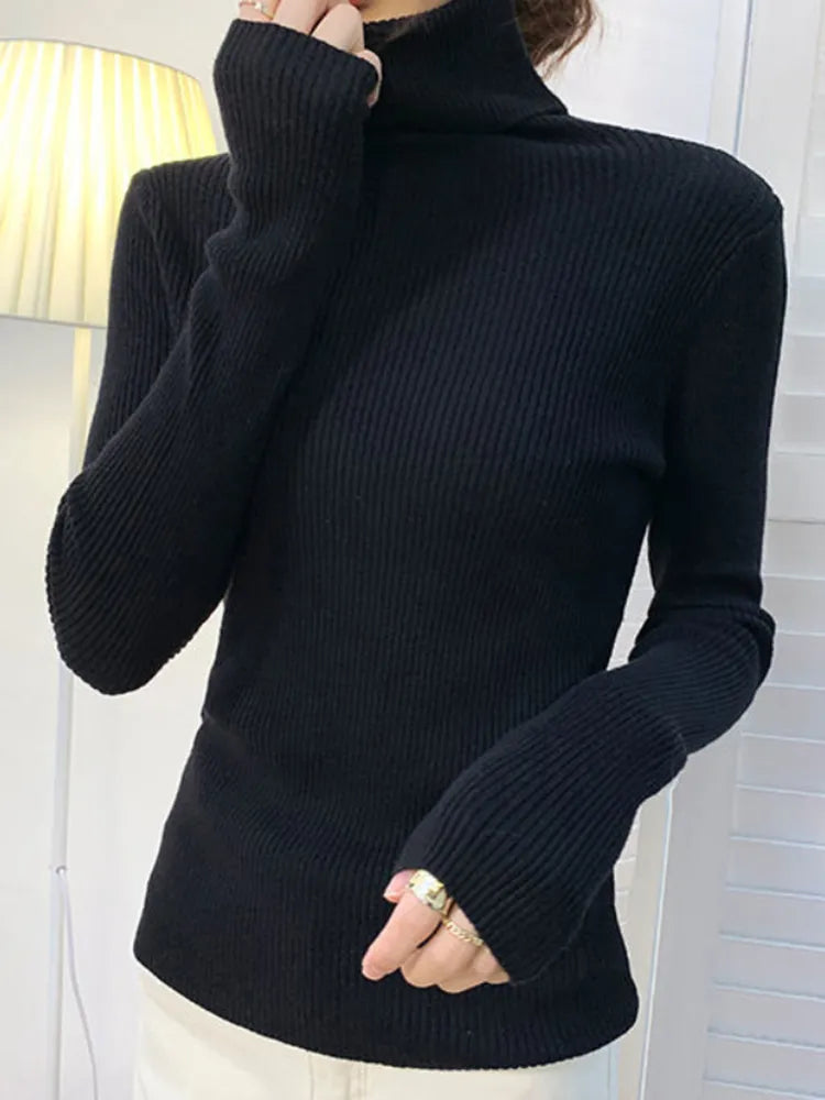 Slim Fit Knitted Turtleneck Sweater