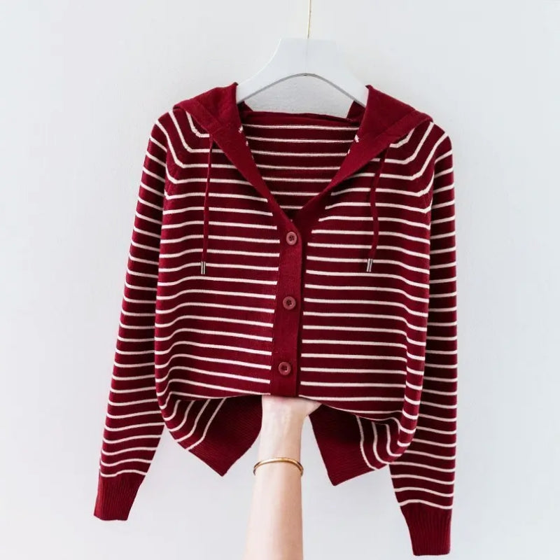 Knitted Drawstring Hooded V-Neck Sweater