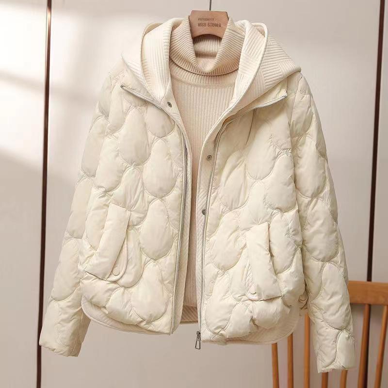 Thick Comfortable Hooded Winter Jacket