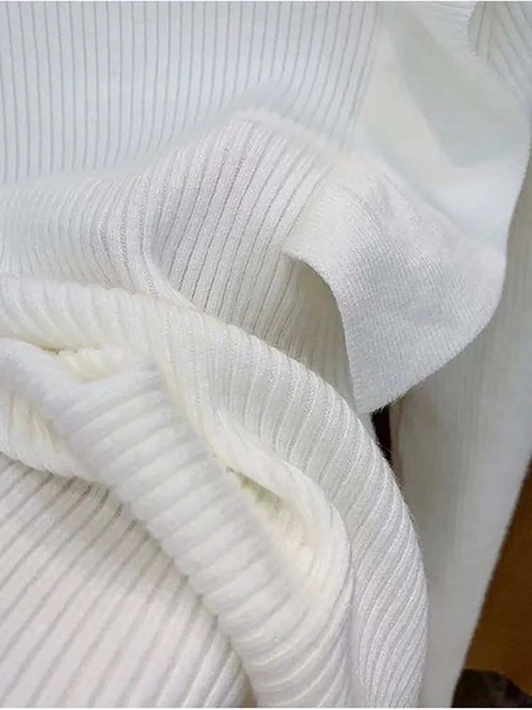 Ribbed Soft Knit Turtleneck Sweater