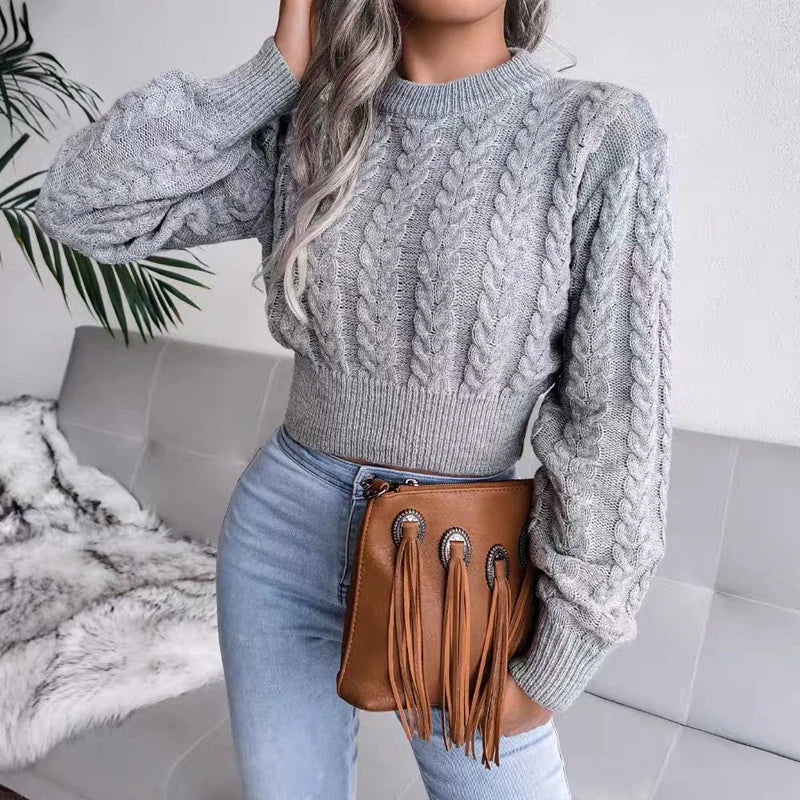 Knitted Crop Top Winter Basic Sweater