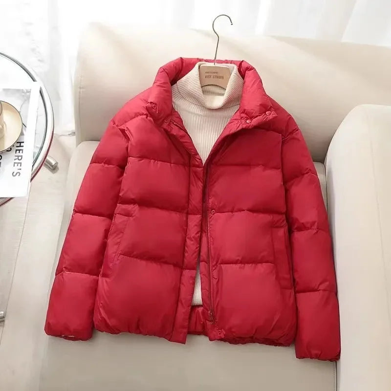 Women's Puffer Jacket – Quilted Insulated – High Neck – Zipper Closure – Warm Thick