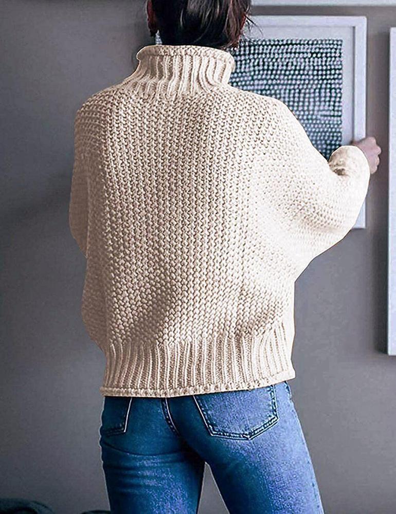 Loose Fit Knit Turtleneck Sweater Pullover