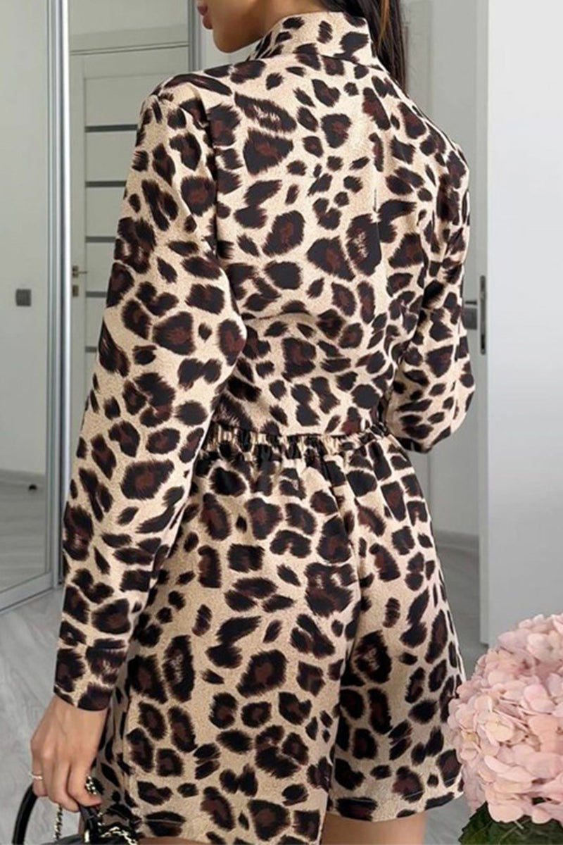 Taraji - leopard print pocket knotted turndown collar long sleeve and short set