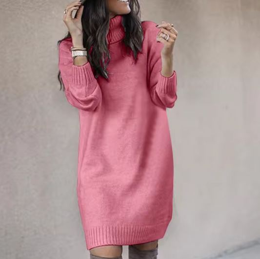 Loose Fit Turtleneck Sweater Dress