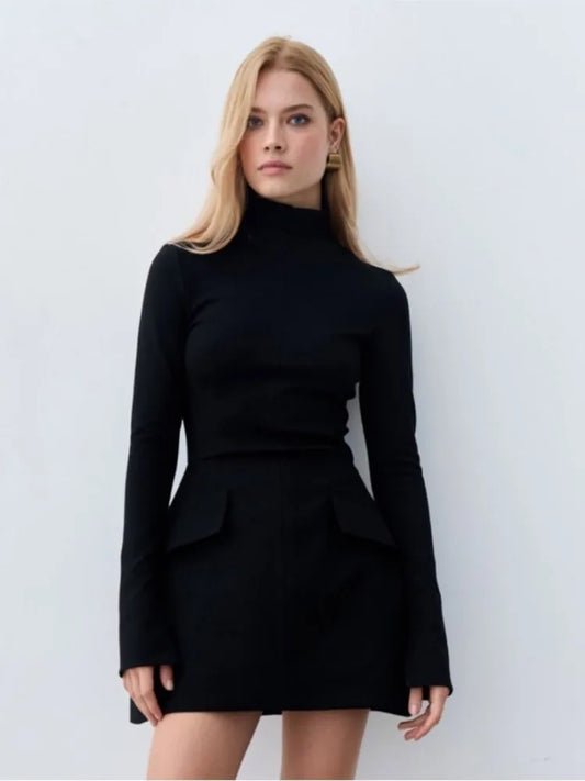Fitted Flared Silhouette Turtleneck Dress