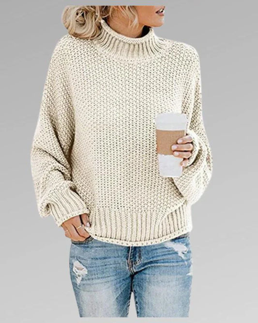 Chunky Relaxed Fit Knit Turtleneck Sweater