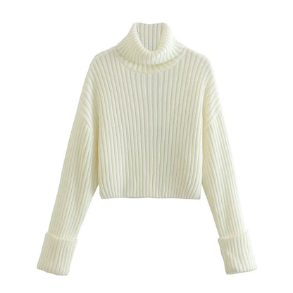 Women's elegant cropped turtleneck sweater