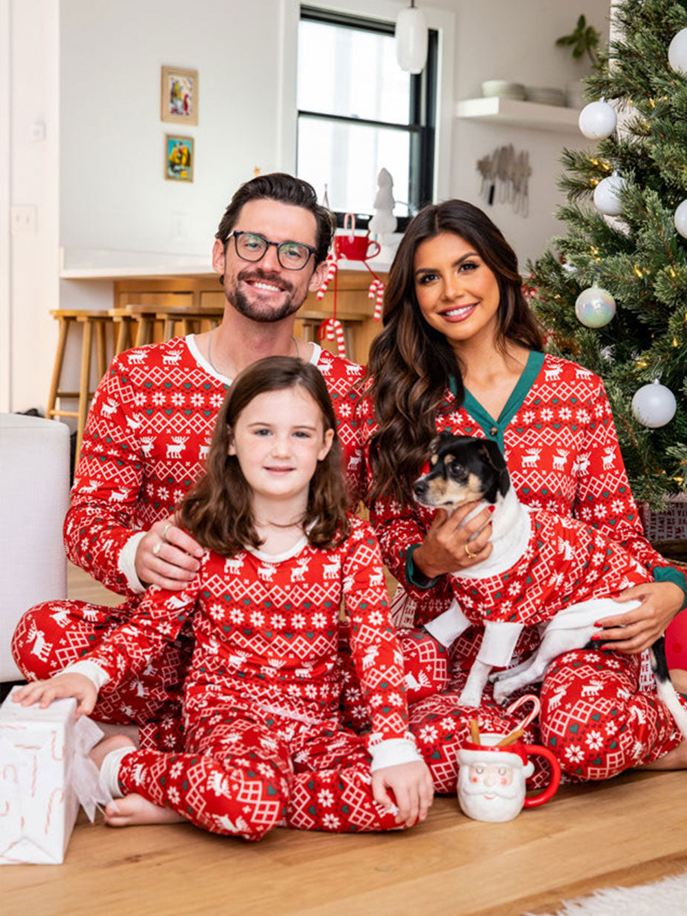 Family matching Christmas fair isle pajama set with pet outfit