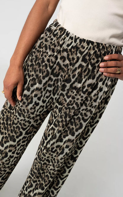 Leopard print pants for women
