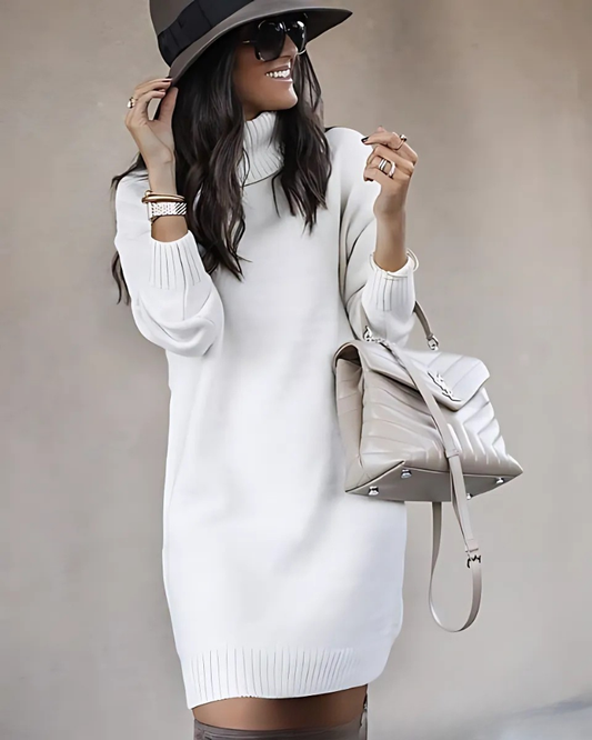 Ribbed Knit Relaxed Slim Fit Mini Dress 