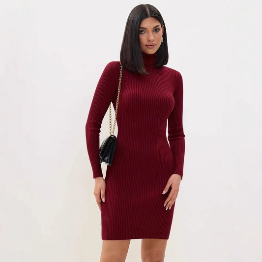 Ribbed Knit Slim Fit Sweater Dress