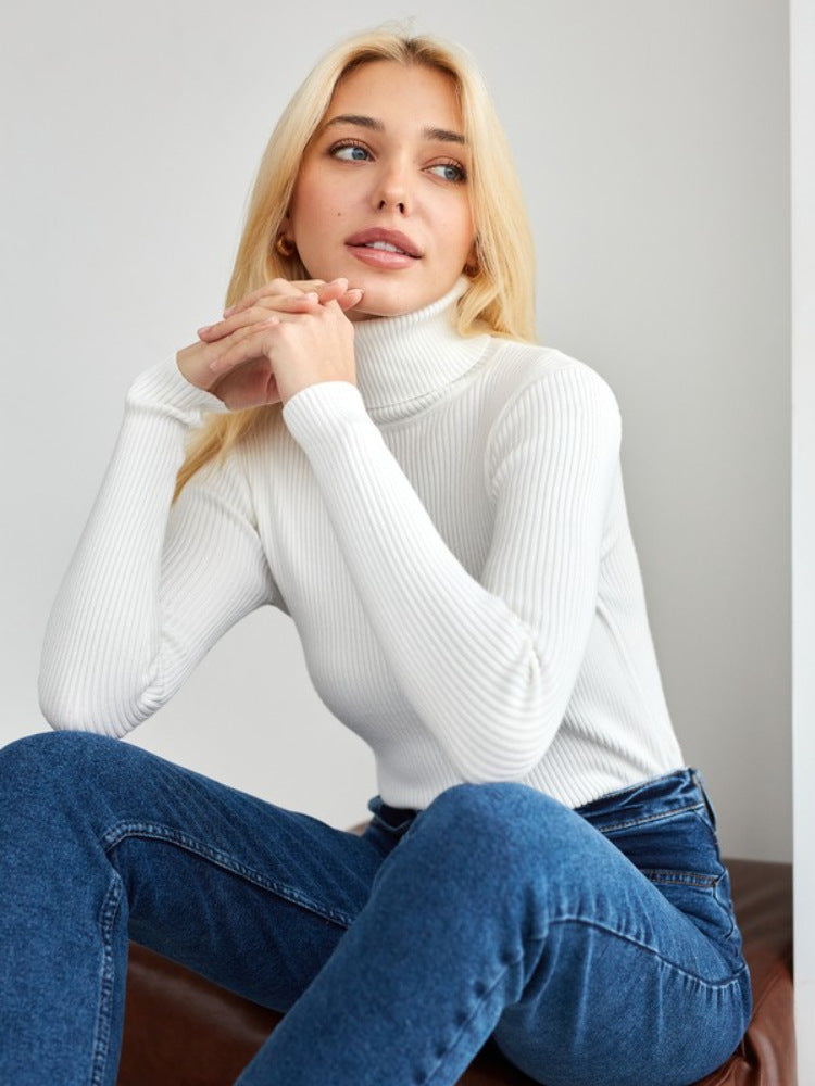 Ribbed Knit Slim Fit Turtleneck Pullover Top 