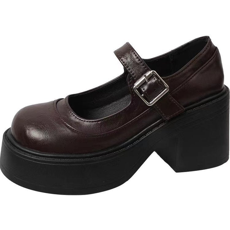 Block Heel Mary Jane Platform Heels 
