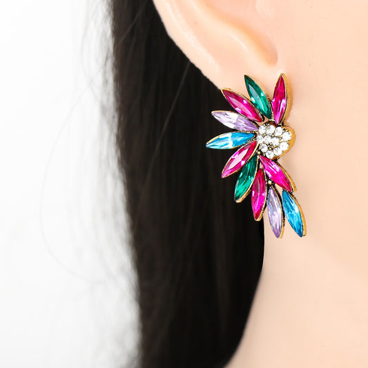 Heart Wings Multicolor Earrings