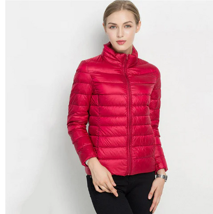 Women's notched zip-up padded slim fit jacket