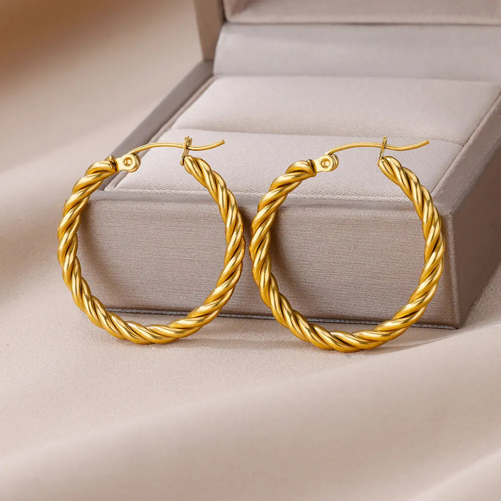 Salve - twisted circle earrings