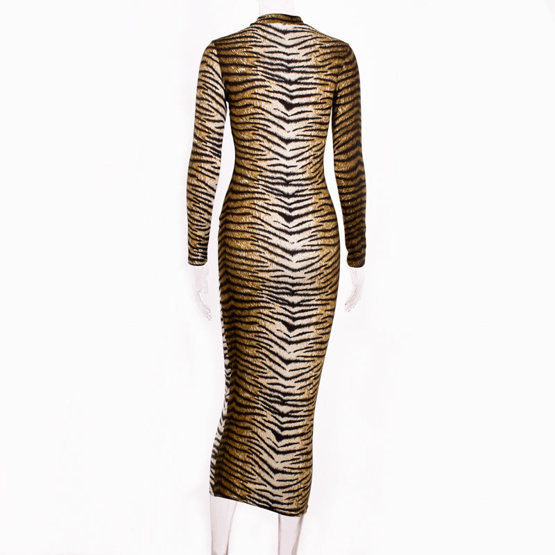 Animal Print Long Sleeve Maxi Dress