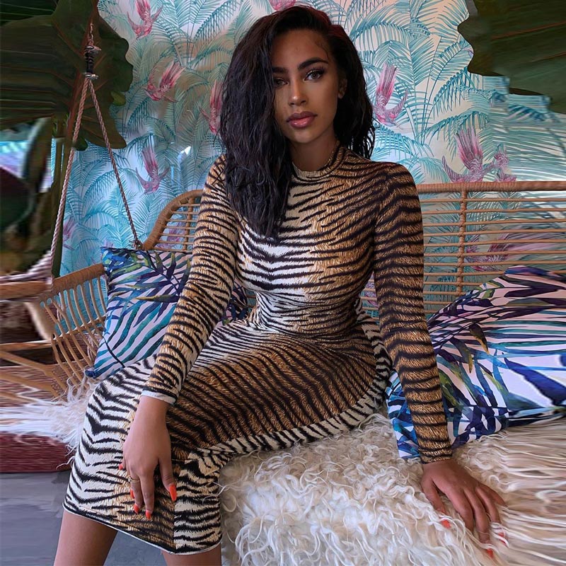 Animal Print Long Sleeve Maxi Dress