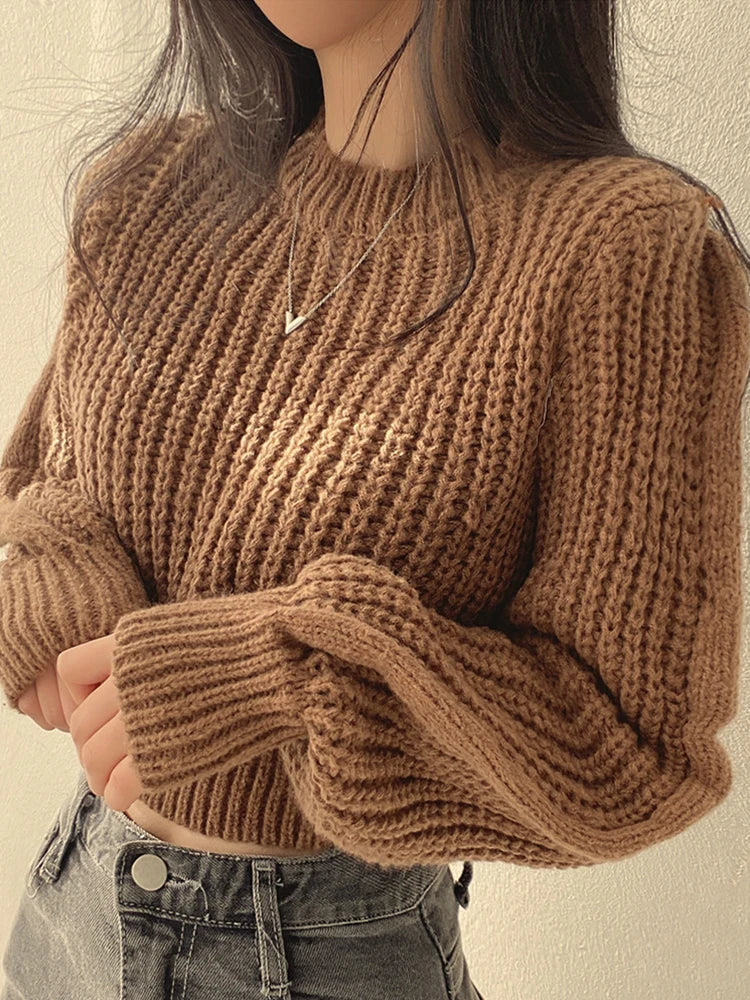 Women's loose vintage lantern sleeve knitted sweater