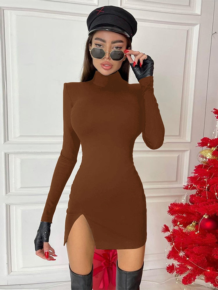 Elegant Fit High Neck Bodycon Mini Dress