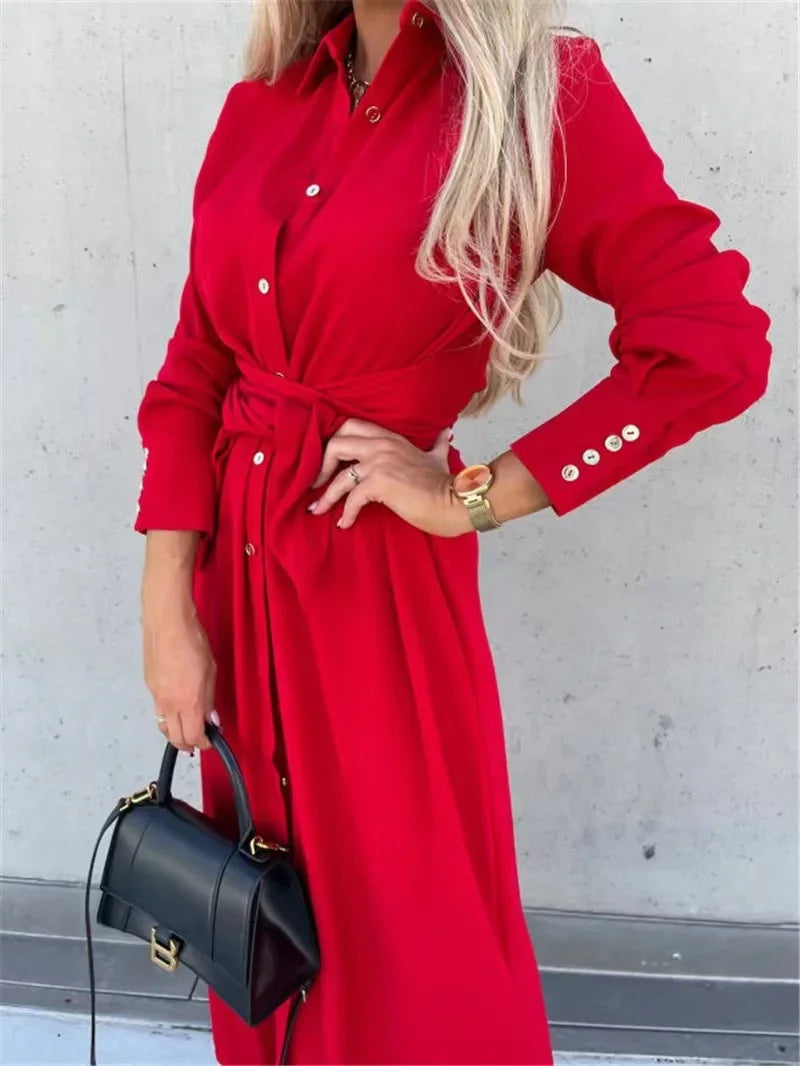 Women's long skirt cardigan swing dress