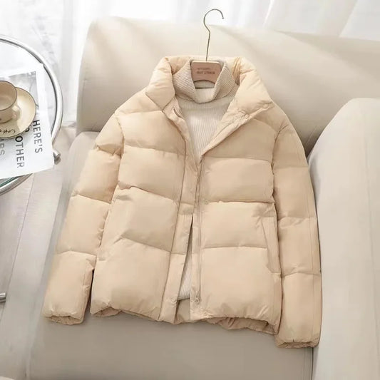Quilted Insulated High Neck Puffer Jacket