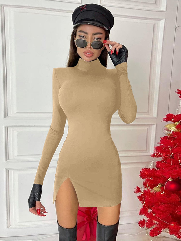 Elegant Fit High Neck Bodycon Mini Dress
