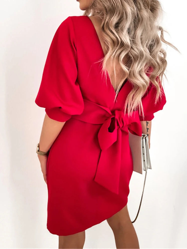 Elegant Fit Puffed Sleeve Shift Dress