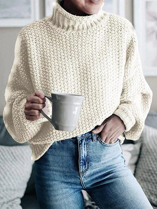 Thick Knit High Neck Pullover Sweater