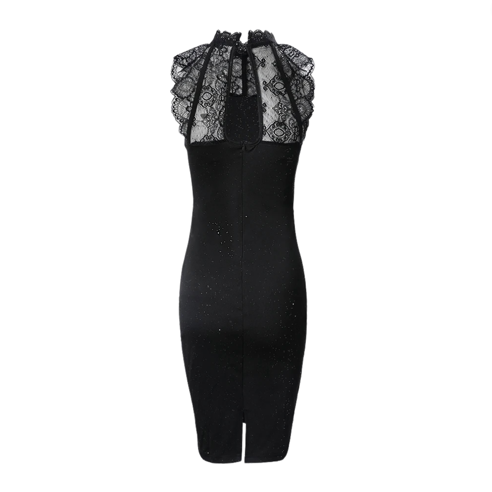 Women's Bodycon Dress - High Neck Lace Detailing - Sleeveless Knee-Length Elegant Wear