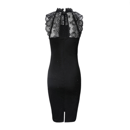 Women's Bodycon Dress - High Neck Lace Detailing - Sleeveless Knee-Length Elegant Wear