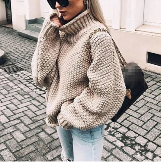 Thick Knit Bat Sleeve Turtleneck Sweater