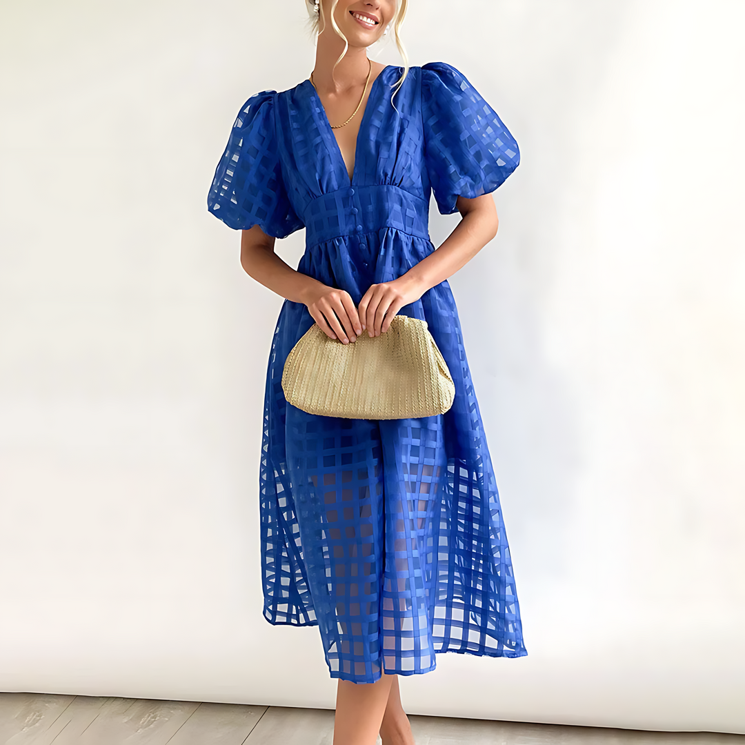 Sheer Grid Pattern Fitted Midi Dress