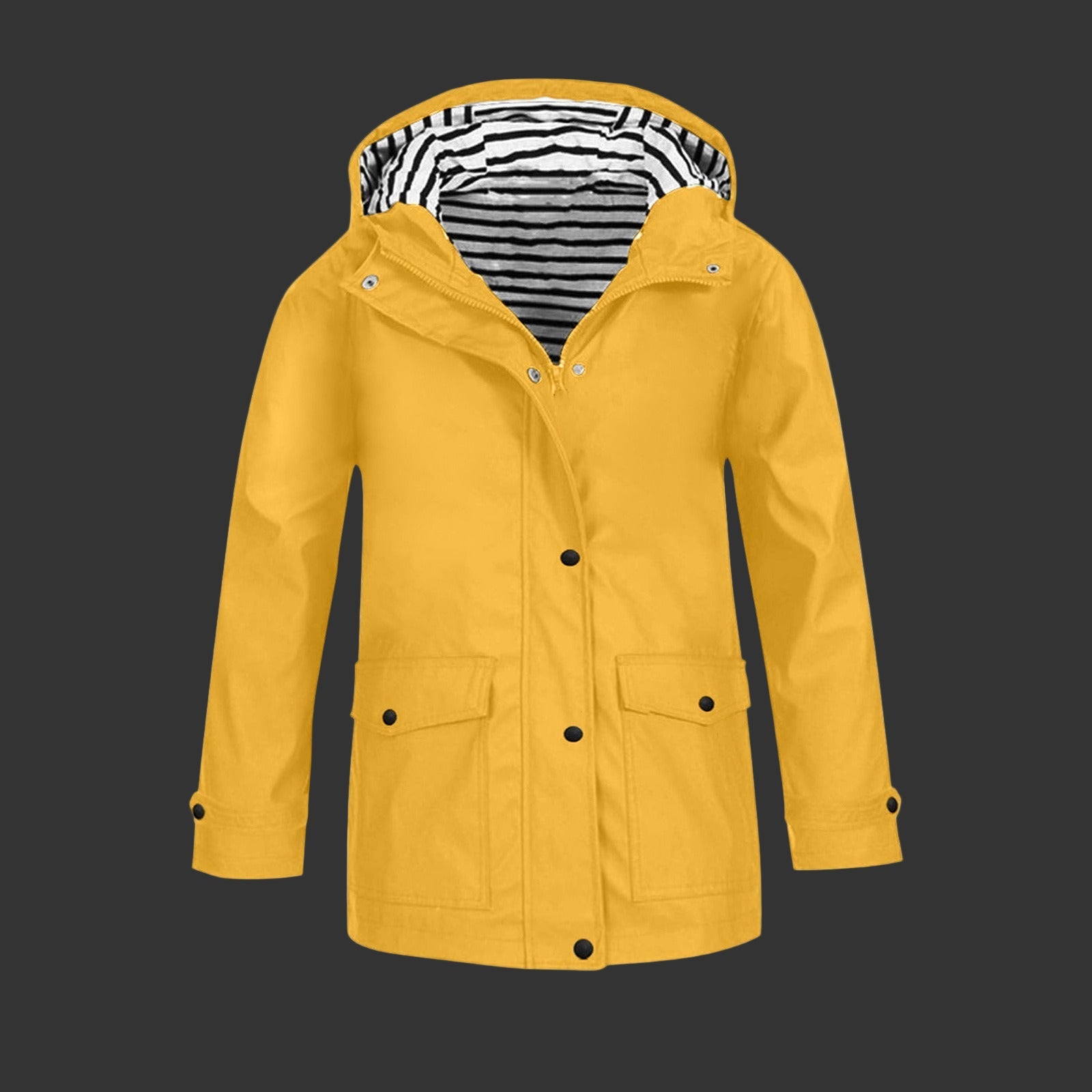 Zip Front Regular Fit Hooded Jacket 