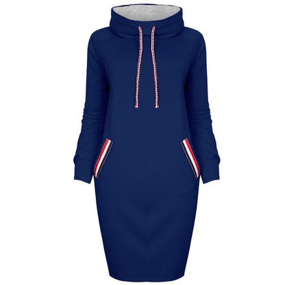 Women's long sleeve high collar sweater dress