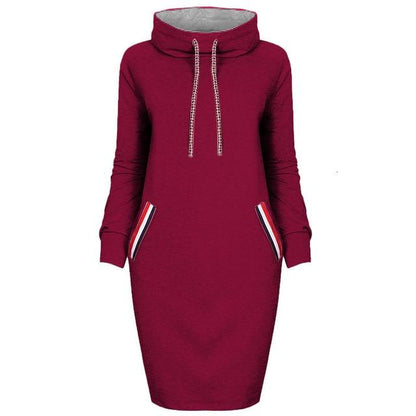 Women's long sleeve high collar sweater dress