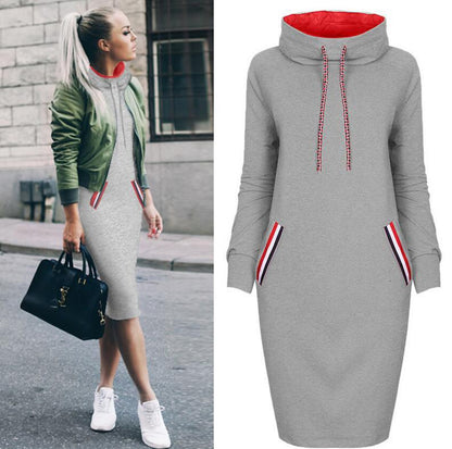 Women's long sleeve high collar sweater dress